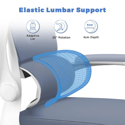 Ergonomic Office Chair With Lumbar