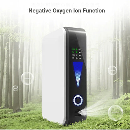 Portable Oxygen Concentrator