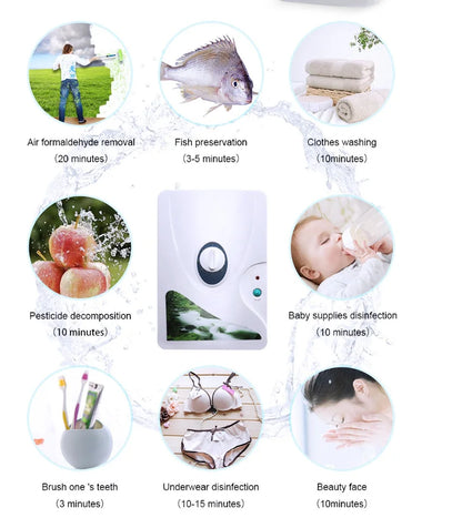 Ozone Generator 110V220V Air Conditioner