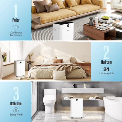 Dehumidifier 20 L Dehumidifier Cellar