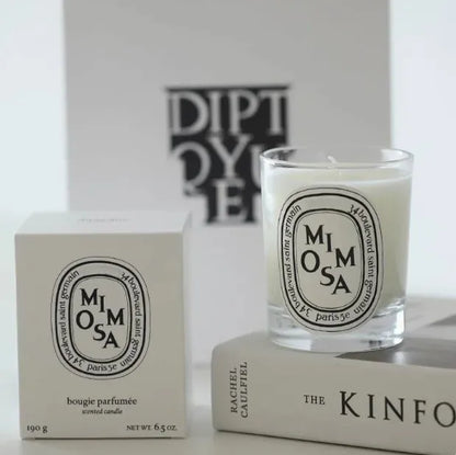 190G 70G Scented Candle Berry