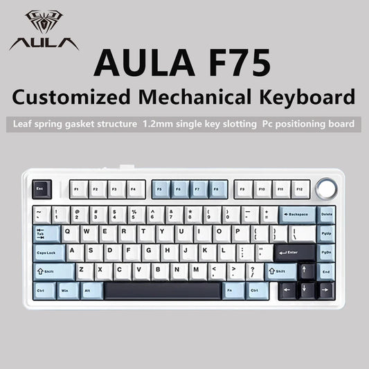 Aula F75 2 4G Bluetooth